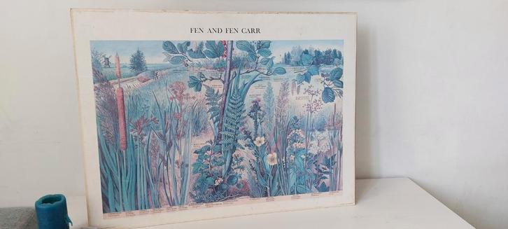 Schoolplaat schoolkaart thema het ven, Fen and Fen Carr, Verzamelen, Overige Verzamelen, Gebruikt, Ophalen