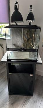 Terrarium met toebehoren - Exo Terra, Dieren en Toebehoren, Reptielen en Amfibieën | Toebehoren, Ophalen, Zo goed als nieuw