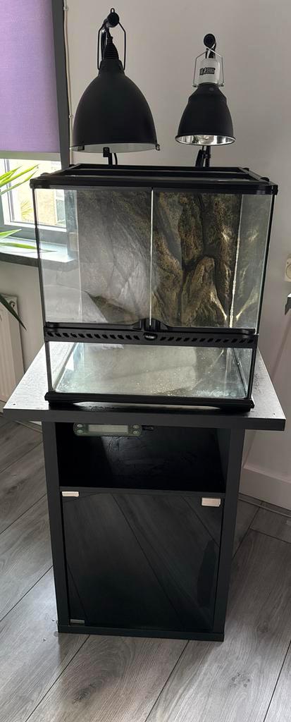 Terrarium met toebehoren - Exo Terra, Dieren en Toebehoren, Reptielen en Amfibieën | Toebehoren, Zo goed als nieuw, Ophalen