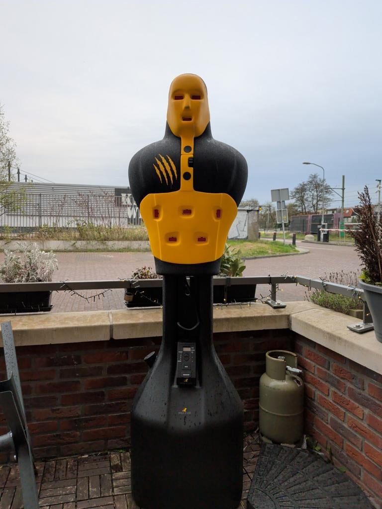 Bruce Lee Vechtpop / Bokspop - Ideaal voor training, Ophalen, Gebruikt, Overige, Vechtsportmateriaal