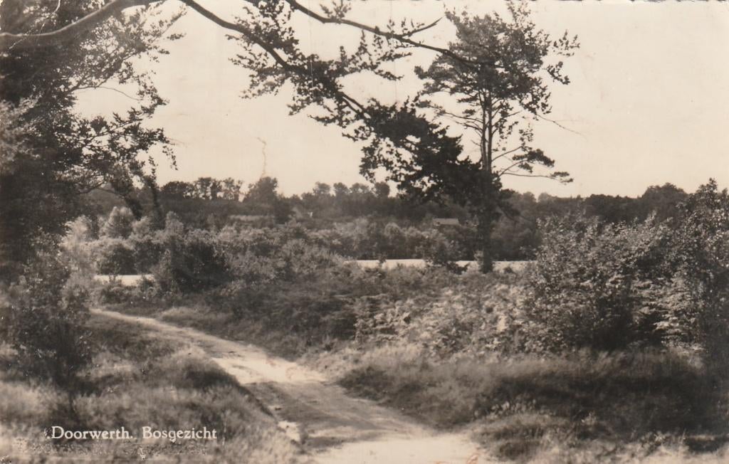 DOORWERTH Bosgezicht, Verzenden, 1940 tot 1960, Gelopen, Gelderland