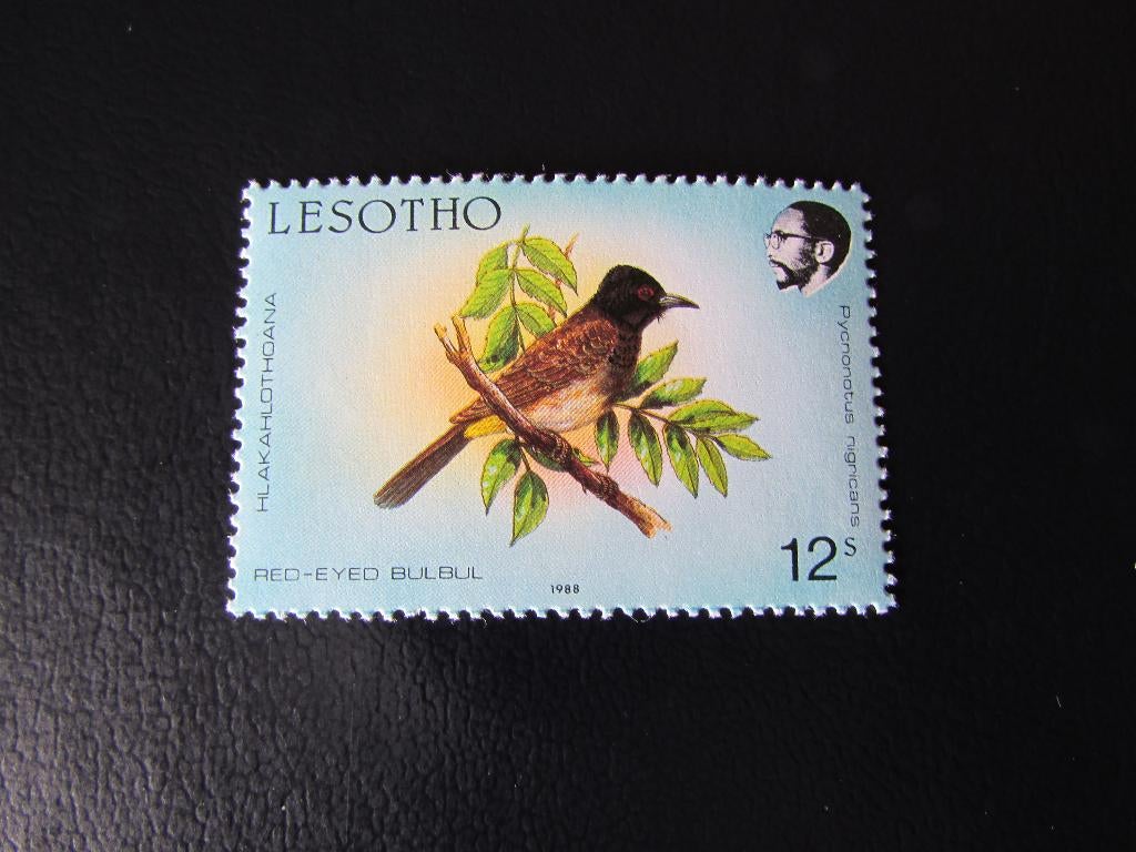 Postzegel Vogel: Roodoog-Buulbuul uit Lesotho, Ophalen of Verzenden, Postfris, Dier of Natuur