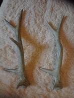 2 decoratie herten geweien, ca. 25 cm, Ophalen of Verzenden, Zo goed als nieuw