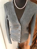 Vince cashmere vest m 38/40, Verzenden, Zo goed als nieuw, Maat 38/40 (M), Grijs