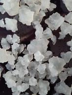 Te Koop mooie verse Waterkefir / Water Kefir nieuw, Ophalen of Verzenden