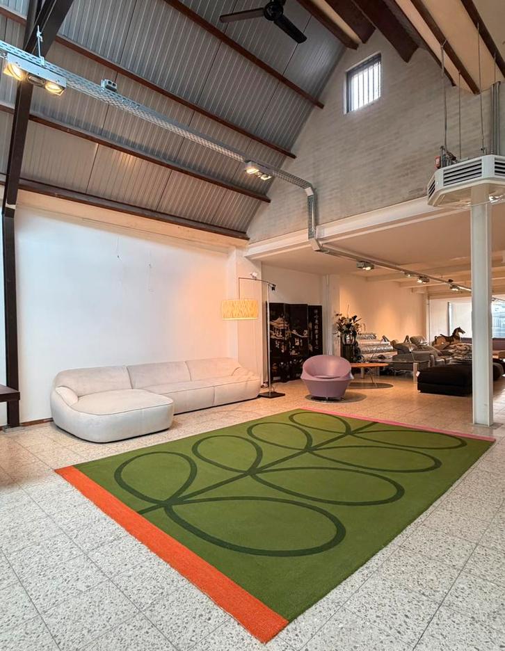 Brink en Campman in-outdoor tapijt Giant Stem Seagrass, Huis en Inrichting, Stoffering | Tapijten en Kleden, Nieuw, 200 cm of meer