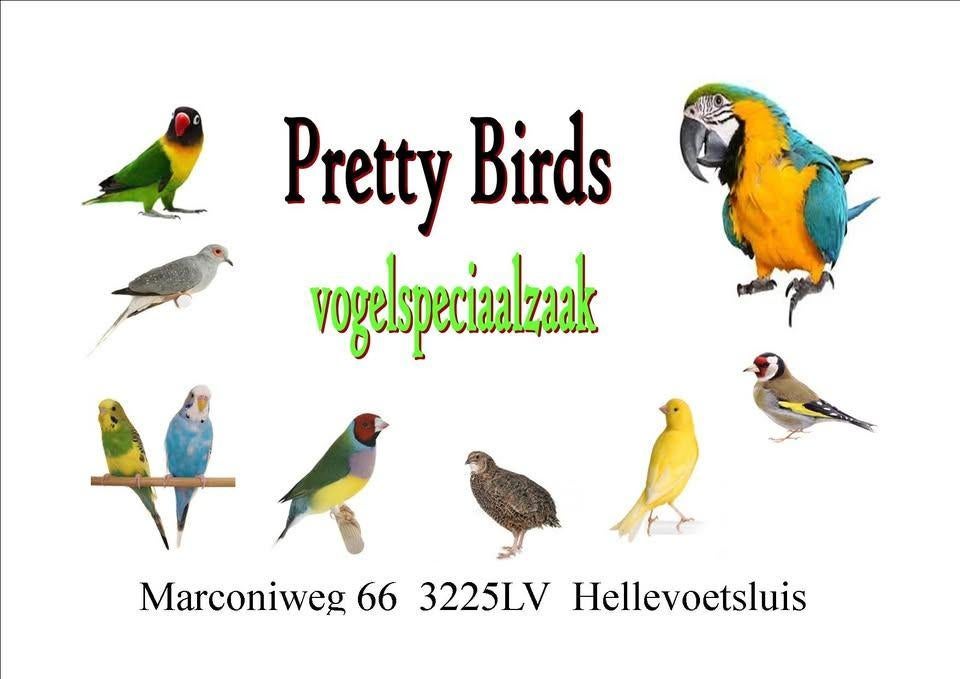 vogels en benodigdheden, Dieren en Toebehoren, Meerdere dieren