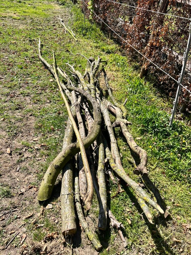 Brandhout., Minder dan 3 m³, Ophalen