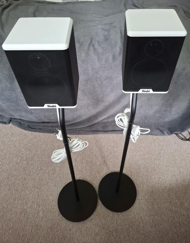 Teufel Effekt Wireless Speakers, Ophalen of Verzenden, Zo goed als nieuw, Front, Rear of Stereo speakers, Overige merken