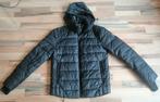 Replay Winter Jacket - Men -size M, Kleding | Heren, Jassen | Winter, Zwart, Ophalen of Verzenden, Zo goed als nieuw, Replay
