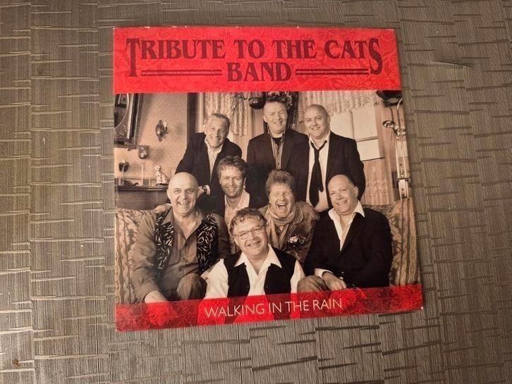 Cd single Tribute To The Cats Band Walking in the rain, Cd's en Dvd's, Ophalen of Verzenden, Gebruikt, Pop