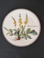 Villeroy & Boch Botanica onderzetter, Antiek en Kunst, Antiek | Wandborden en Tegels, Ophalen of Verzenden