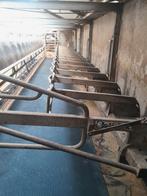 Delaval 18 stands swingover, Dieren en Toebehoren, Ophalen of Verzenden