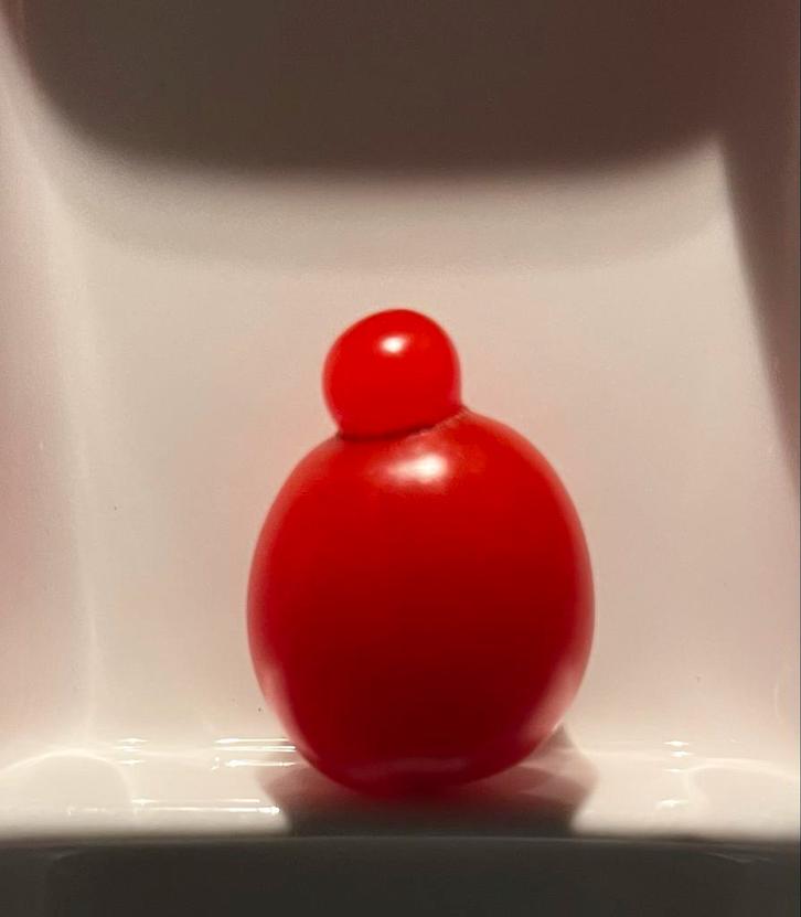 Zeldzame Tomaat 'Borst op Spanning', Antiek en Kunst, Kunst | Overige Kunst, Ophalen of Verzenden