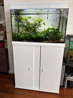 Aquarium wit 150 liter compleet, Dieren en Toebehoren, Vissen | Aquaria en Toebehoren, Ophalen, Zo goed als nieuw, Gevuld zoetwateraquarium