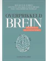Overprikkeld Brein, Boeken, Psychologie, Ophalen of Verzenden, Zo goed als nieuw