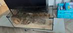 Grote hamster bak van glas met toebehoren., Dieren en Toebehoren, Kooi, Minder dan 60 cm, 75 tot 110 cm, Zo goed als nieuw