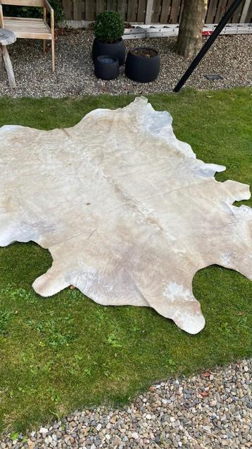 koeien huid beschikbaar voor biedingen