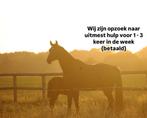 Paarden uitmest hulp gezocht 1-2 keer in de week, 4 paarden of pony's of meer