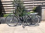 Giant twist go double e bike, Ophalen of Verzenden, Gebruikt, Giant