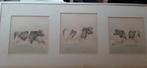 3 Litho’s van Jan H. van der Zee, Antiek en Kunst, Kunst | Litho's en Zeefdrukken, Ophalen