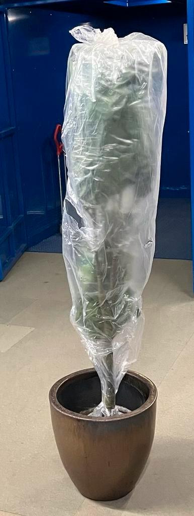 Handgemaakte vaas met nieuwe kunstplant (200cm), Huis en Inrichting, Woonaccessoires | Vazen, Zo goed als nieuw, Overige kleuren