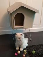 Nieuwe kat of kleinere honden Villa€30 incl speeltjes, Dieren en Toebehoren, Ophalen, Zo goed als nieuw