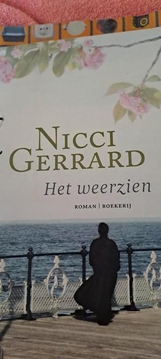Nicci Gerrard - Het weerzien beschikbaar voor biedingen