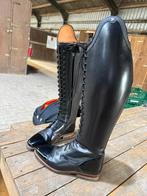 Nieuwe Petrie Florance laarzen, Ophalen of Verzenden, Nieuw, Dressuur, Schoeisel