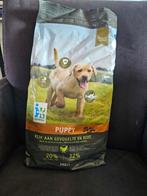 Puppy brokken, Dieren en Toebehoren, Ophalen of Verzenden, Hond