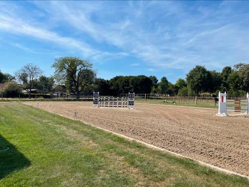 Stalling te huur, Dieren en Toebehoren, Stalling en Weidegang, Weidegang