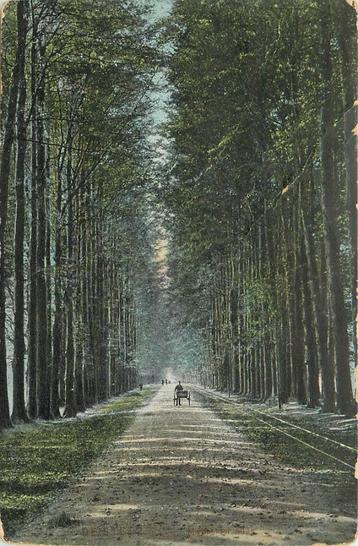 (387-247-015) De Steeg Middachter allee beschikbaar voor biedingen