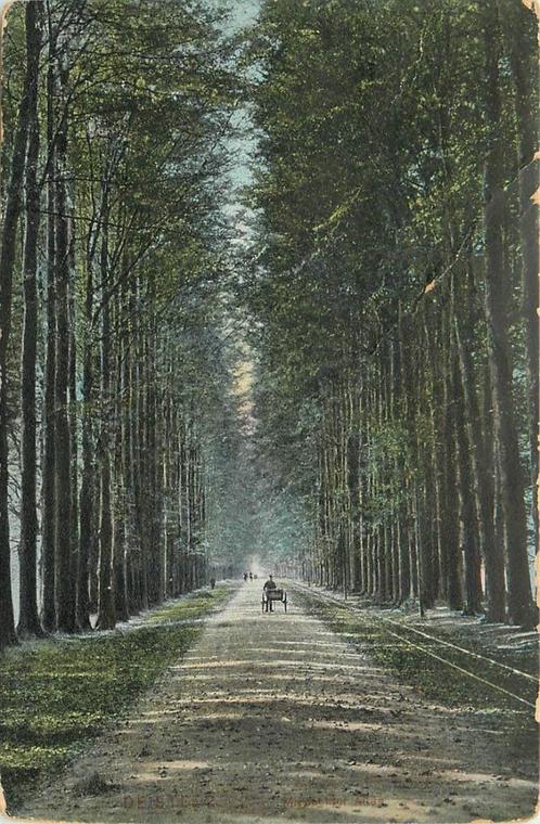 (387-247-015) De Steeg Middachter allee, Verzamelen, Ansichtkaarten | Nederland, Gelderland, Verzenden