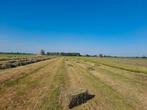 Hooi pakjes baaltjes hooi, Dieren en Toebehoren, Ophalen
