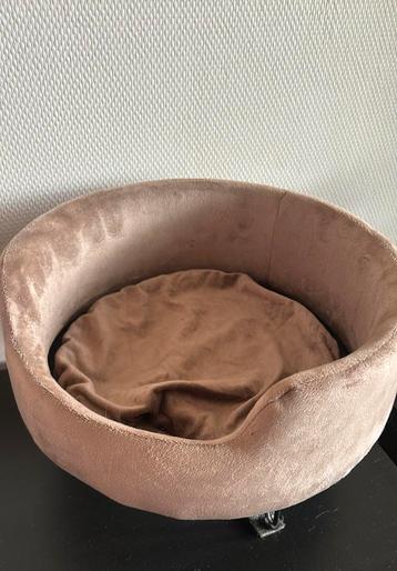 Katten mand beschikbaar voor biedingen