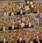 Geweldige set pompom en bloesem takken nu 25 euro, Ophalen of Verzenden, Nieuw, Binnen