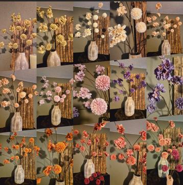 Geweldige set pompom en bloesem takken nu 25 euro beschikbaar voor biedingen