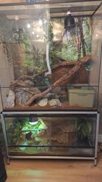 Terrarium  2 stuks, Dieren en Toebehoren, Ophalen, Zo goed als nieuw, Terrarium of Paludarium