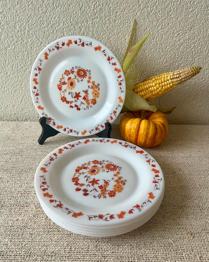 Vintage Arcopal bordjes ontbijt herfst bloemen oranje retro, Antiek en Kunst, Antiek | Servies los, Ophalen of Verzenden