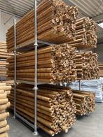 Bamboepalen, bamboestammen, bamboestok,, Ophalen of Verzenden, Nieuw, 180 tot 250 cm, Palen
