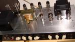 SELDON DZ 30, Ophalen, Nieuw, Gitaar, Minder dan 50 watt