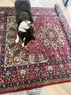 Perzisch tapijt 170x230cm UNIEKE KANS!, 200 cm of meer, 150 tot 200 cm, Rood, Rechthoekig