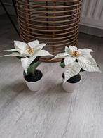 2x Kunst Kerststerren in Pot / wit / klein formaat, Ophalen of Verzenden, Nieuw, Binnen