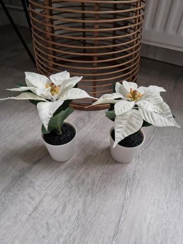 2x Kunst Kerststerren in Pot / wit / klein formaat  beschikbaar voor biedingen