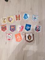 Te koop mooie voerbalvlaggetjes, Ophalen of Verzenden, Zo goed als nieuw