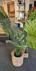 Kunstplant Monstera, countryfield, Ophalen, Nieuw