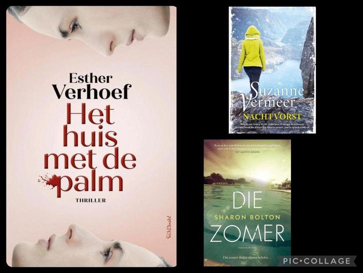 Esther Verhoef - Het huis met de palm. En nog 2 thrillers, Boeken, Thrillers, Zo goed als nieuw, Nederland, Ophalen of Verzenden
