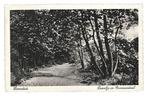 949219	Heemstede	Laantje in Groenendaal	NH 1936	Gelopen met, Verzamelen, Ansichtkaarten | Nederland, Ophalen of Verzenden, 1920 tot 1940