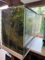 Paludarium met toebehoren, Dieren en Toebehoren, Ophalen, Zo goed als nieuw, Terrarium of Paludarium