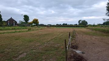 Stalling in beers, voor A pony/shetlander  beschikbaar voor biedingen